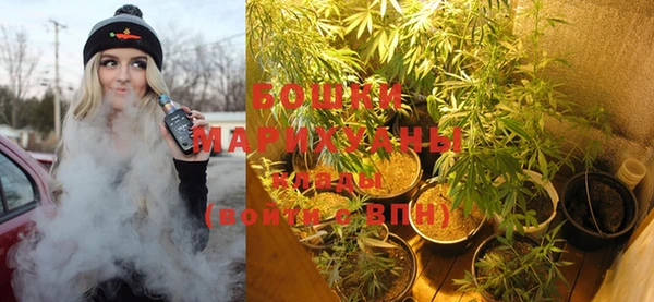 мескалин Бородино