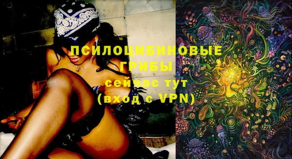 мескалин Бородино