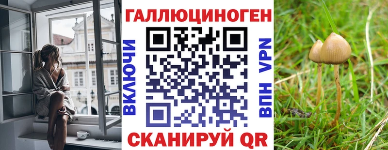 Псилоцибиновые грибы Psilocybine cubensis  Горнозаводск 